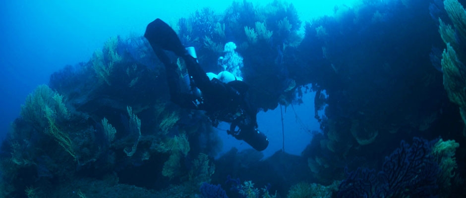 Wreckdivers exploring the SS Loredan